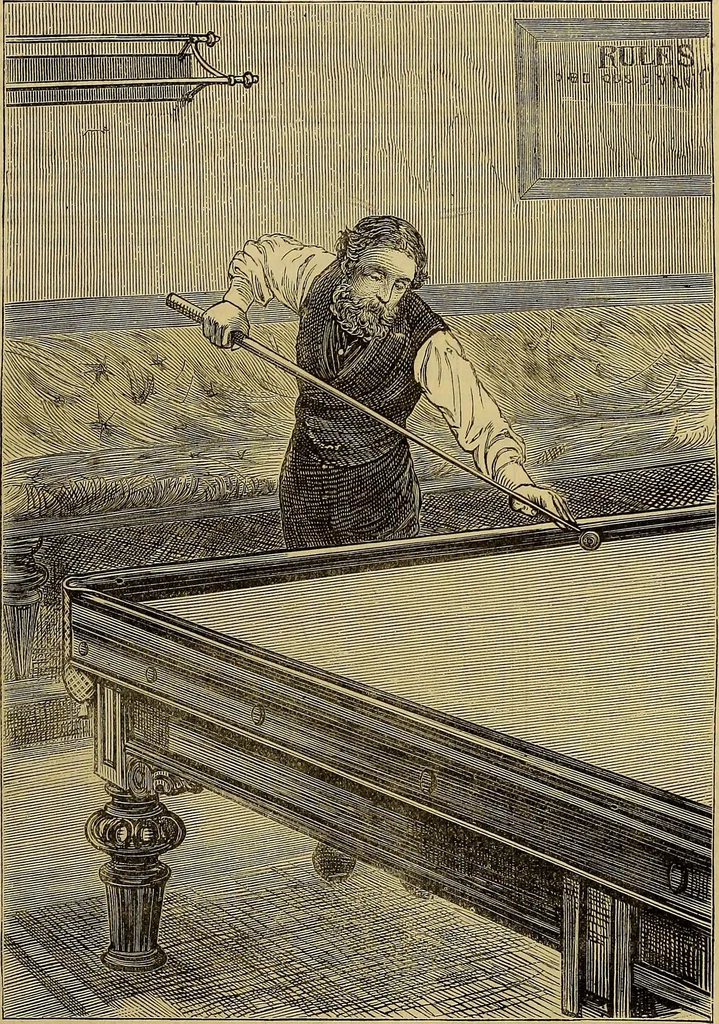 An illustration from The Popular recreator. A key to in-door and out-door amusements .., 1873, leaf 238