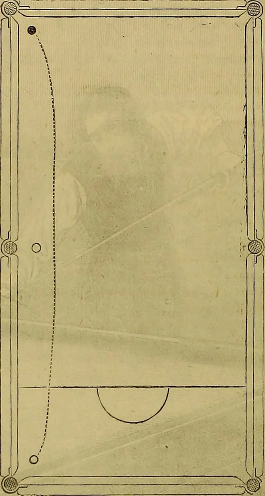 An illustration from The Popular recreator. A key to in-door and out-door amusements .., 1873, leaf 239