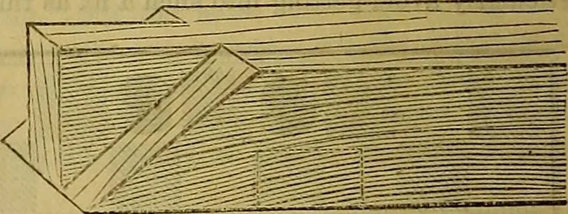 An illustration from The Popular recreator. A key to in-door and out-door amusements .., 1873, leaf 245