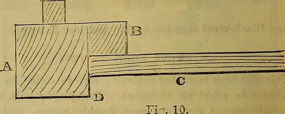 An illustration from The Popular recreator. A key to in-door and out-door amusements .., 1873, leaf 245