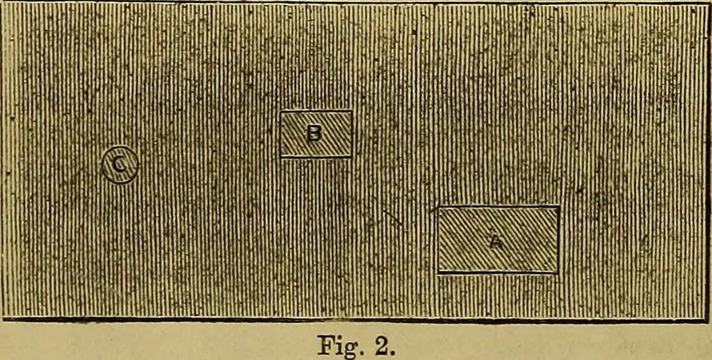 An illustration from The Popular recreator. A key to in-door and out-door amusements .., 1873, leaf 255