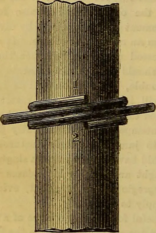 An illustration from The Popular recreator. A key to in-door and out-door amusements .., 1873, leaf 269