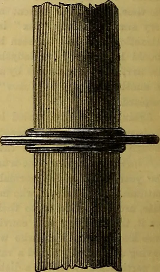 An illustration from The Popular recreator. A key to in-door and out-door amusements .., 1873, leaf 269