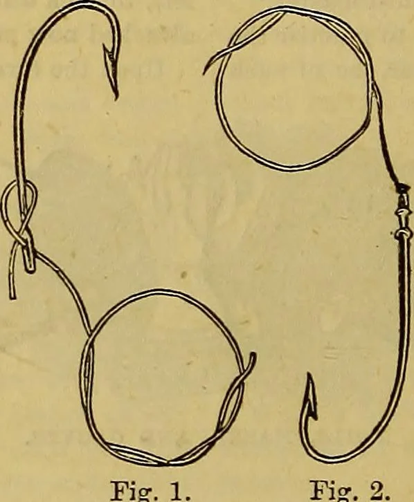 An illustration from The Popular recreator. A key to in-door and out-door amusements .., 1873, leaf 281