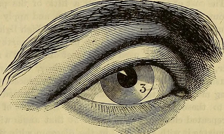 An illustration from The Popular recreator. A key to in-door and out-door amusements .., 1873, leaf 30