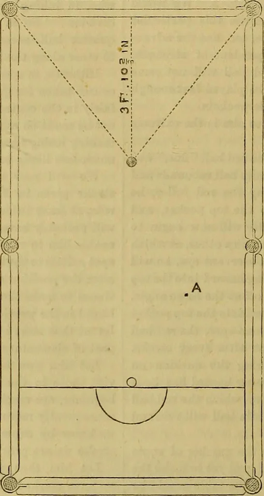 An illustration from The Popular recreator. A key to in-door and out-door amusements .., 1873, leaf 301