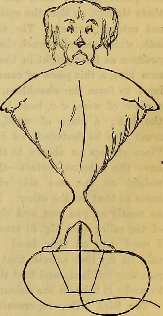 An illustration from The Popular recreator. A key to in-door and out-door amusements .., 1873, leaf 302