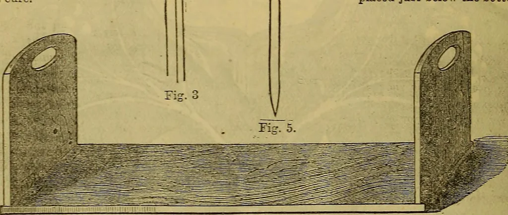 An illustration from The Popular recreator. A key to in-door and out-door amusements .., 1873, leaf 319