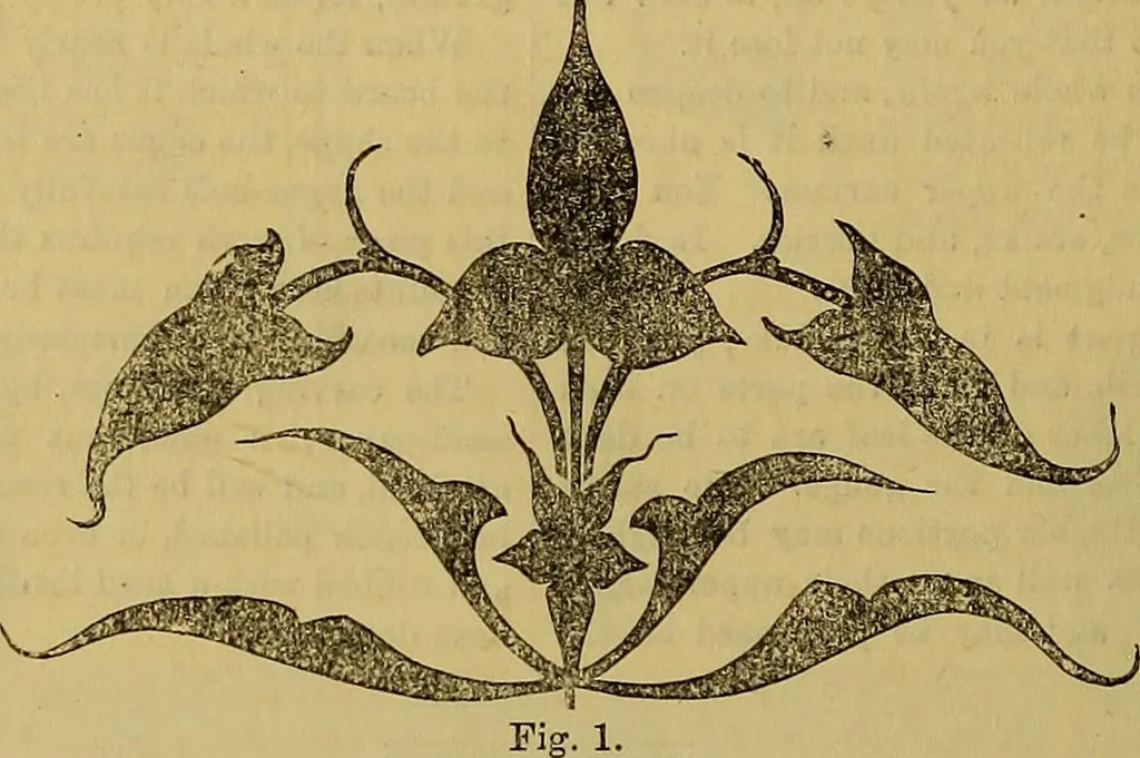 An illustration from The Popular recreator. A key to in-door and out-door amusements .., 1873, leaf 321