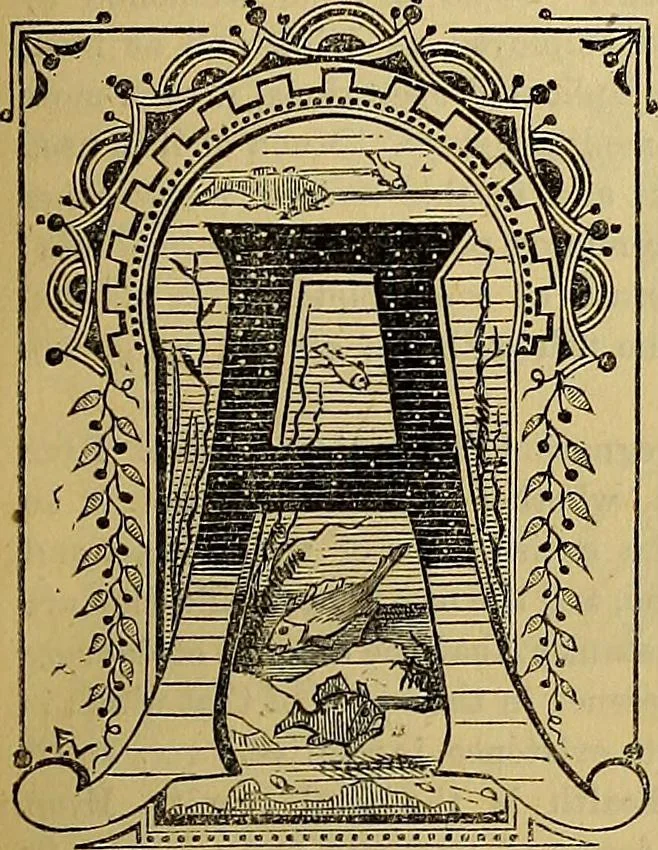 An illustration from The Popular recreator. A key to in-door and out-door amusements .., 1873, leaf 322