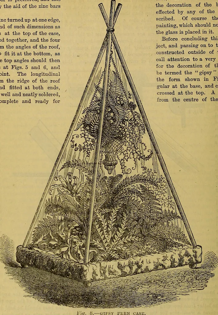 An illustration from The Popular recreator. A key to in-door and out-door amusements .., 1873, leaf 325
