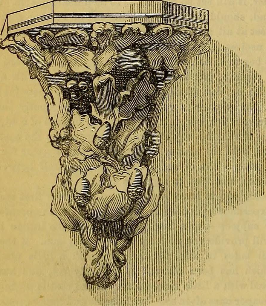 An illustration from The Popular recreator. A key to in-door and out-door amusements .., 1873, leaf 333