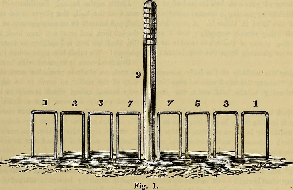 An illustration from The Popular recreator. A key to in-door and out-door amusements .., 1873, leaf 338