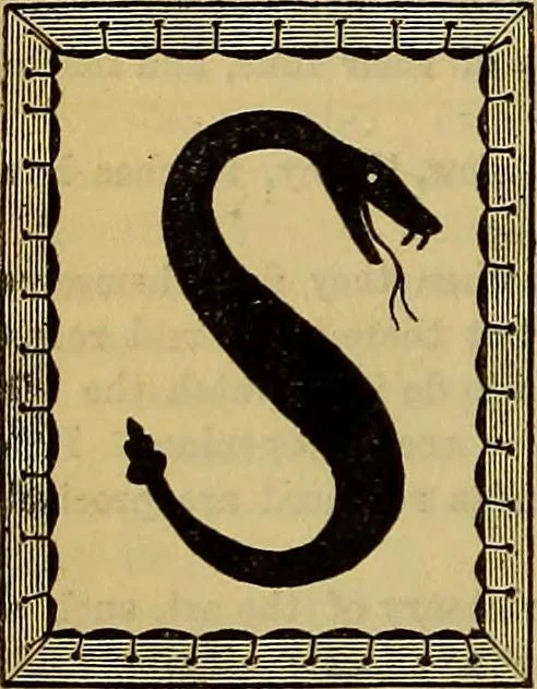 An illustration from The Popular recreator. A key to in-door and out-door amusements .., 1873, leaf 341