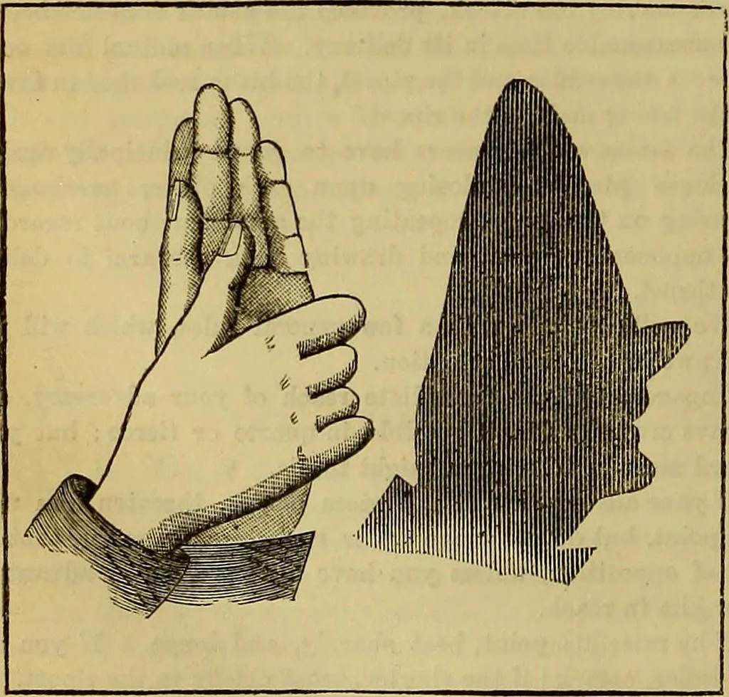 An illustration from The Popular recreator. A key to in-door and out-door amusements .., 1873, leaf 341