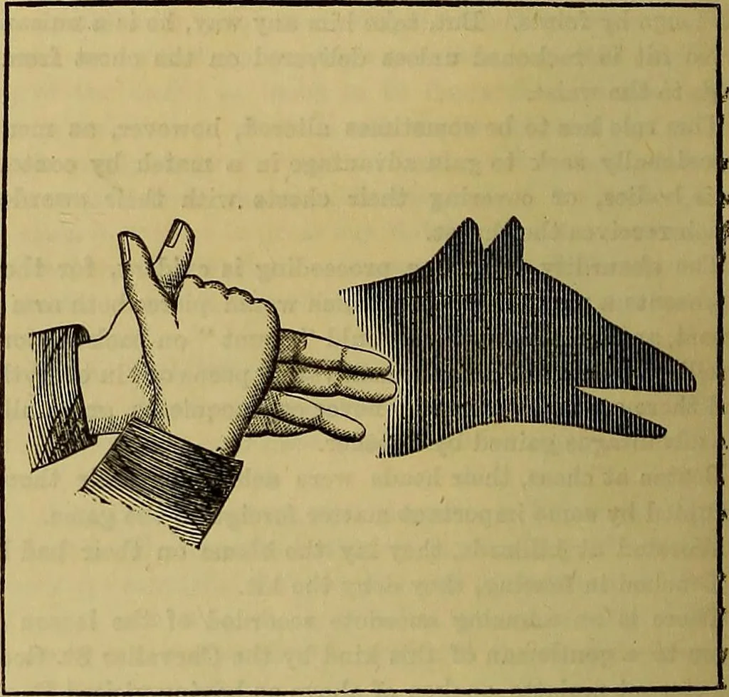 An illustration from The Popular recreator. A key to in-door and out-door amusements .., 1873, leaf 341