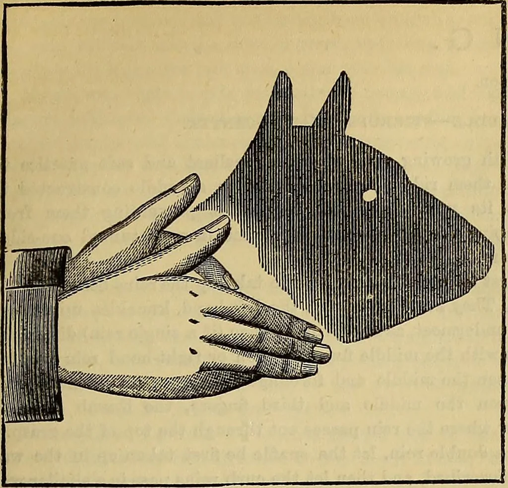 An illustration from The Popular recreator. A key to in-door and out-door amusements .., 1873, leaf 342