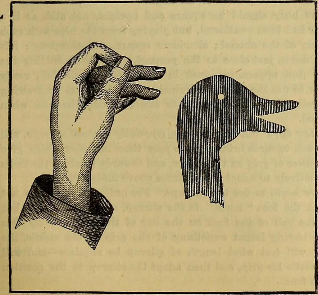 An illustration from The Popular recreator. A key to in-door and out-door amusements .., 1873, leaf 342