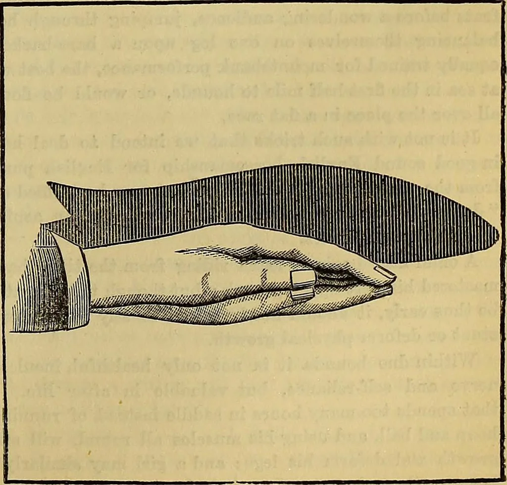 An illustration from The Popular recreator. A key to in-door and out-door amusements .., 1873, leaf 342