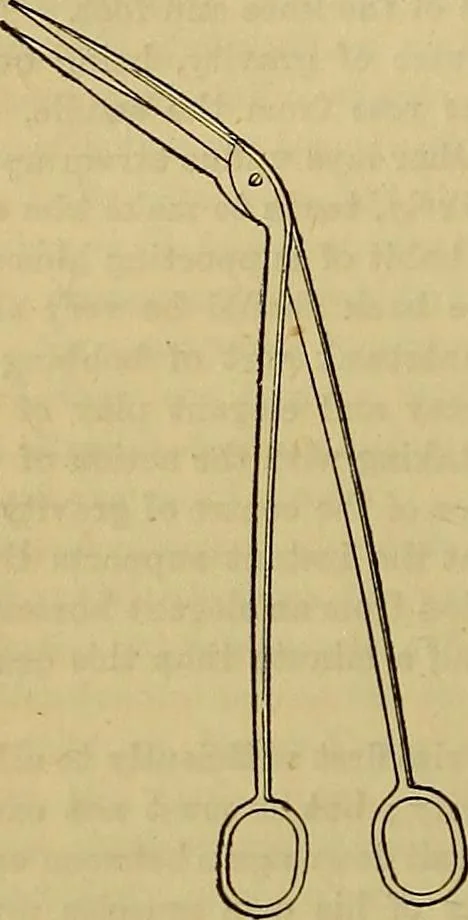 An illustration from The Popular recreator. A key to in-door and out-door amusements .., 1873, leaf 345
