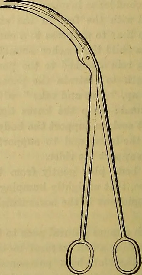 An illustration from The Popular recreator. A key to in-door and out-door amusements .., 1873, leaf 345