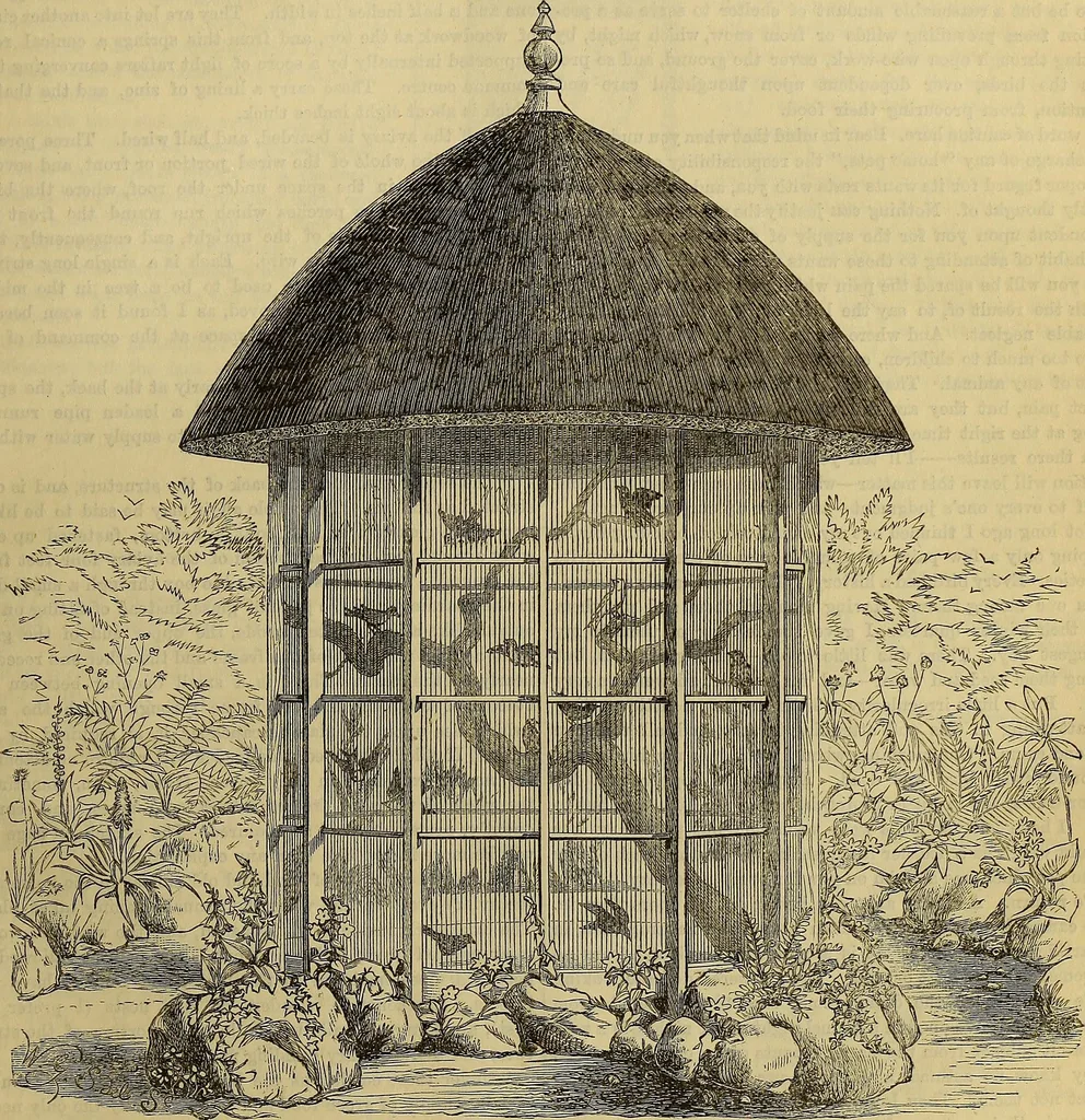An illustration from The Popular recreator. A key to in-door and out-door amusements .., 1873, leaf 350