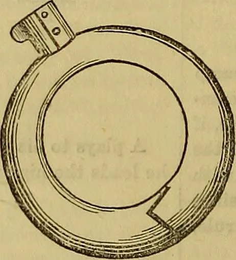 An illustration from The Popular recreator. A key to in-door and out-door amusements .., 1873, leaf 363