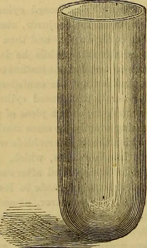 An illustration from The Popular recreator. A key to in-door and out-door amusements .., 1873, leaf 373