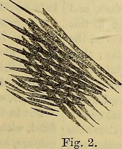 An illustration from The Popular recreator. A key to in-door and out-door amusements .., 1873, leaf 378