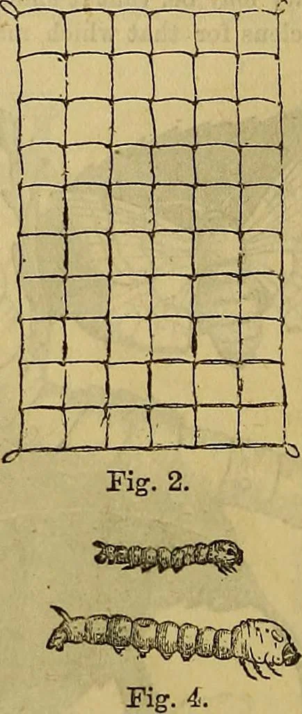 An illustration from The Popular recreator. A key to in-door and out-door amusements .., 1873, leaf 383