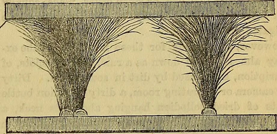 An illustration from The Popular recreator. A key to in-door and out-door amusements .., 1873, leaf 384