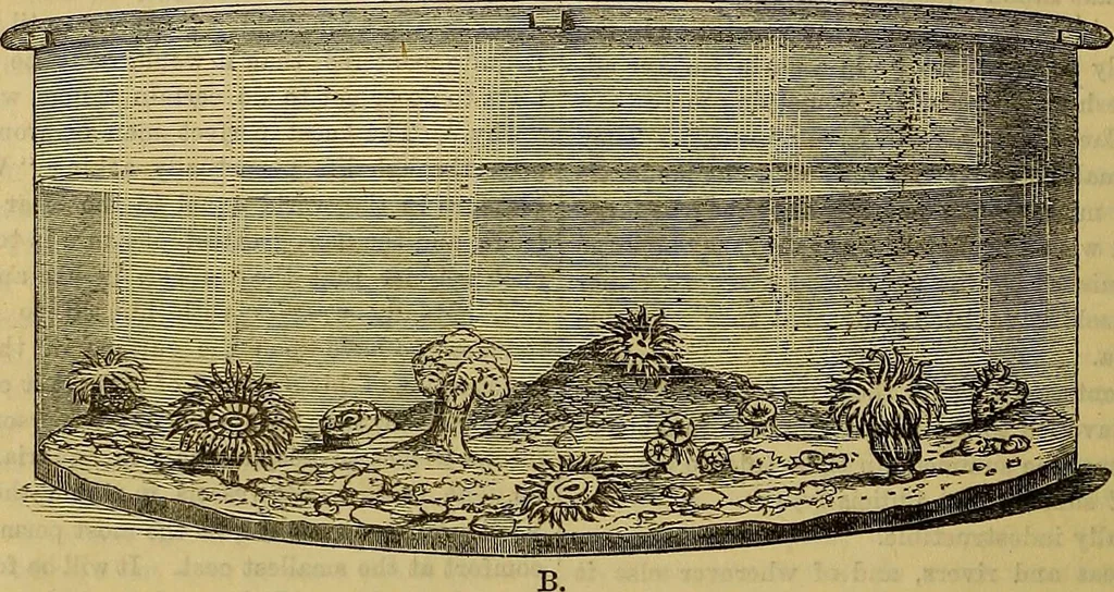 An illustration from The Popular recreator. A key to in-door and out-door amusements .., 1873, leaf 389