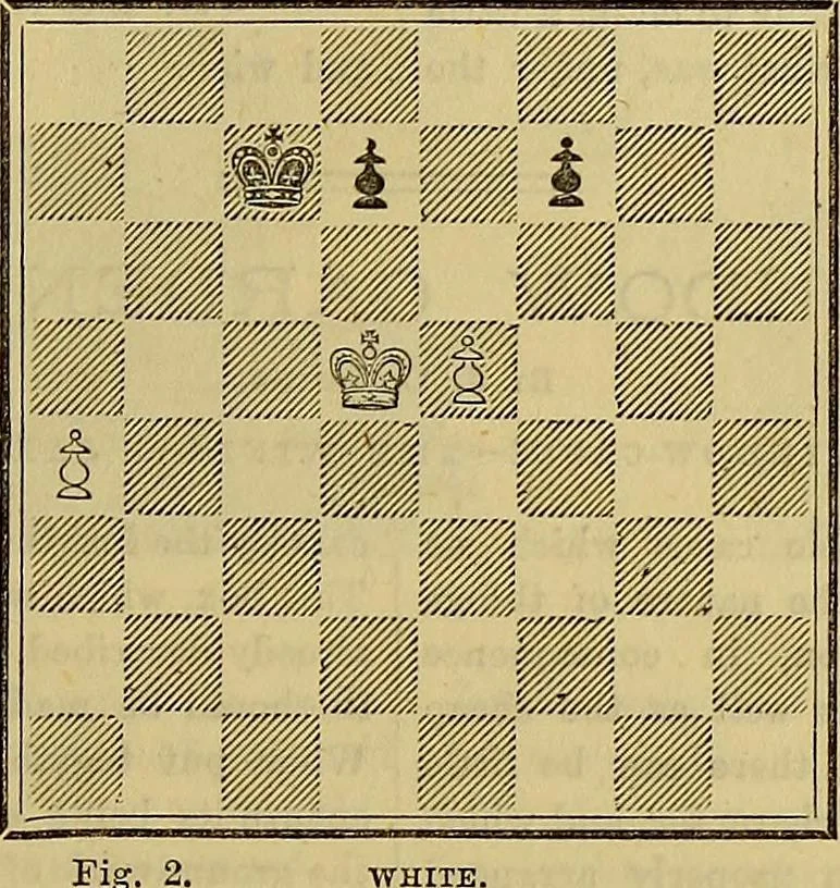 An illustration from The Popular recreator. A key to in-door and out-door amusements .., 1873, leaf 394