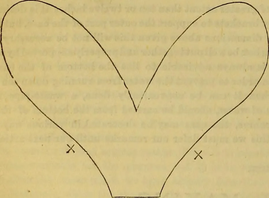 An illustration from The Popular recreator. A key to in-door and out-door amusements .., 1873, leaf 397