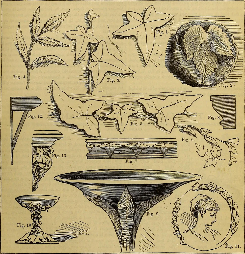 An illustration from The Popular recreator. A key to in-door and out-door amusements .., 1873, leaf 414