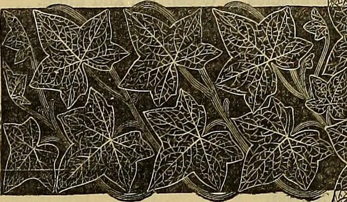 An illustration from The Popular recreator. A key to in-door and out-door amusements .., 1873, leaf 430
