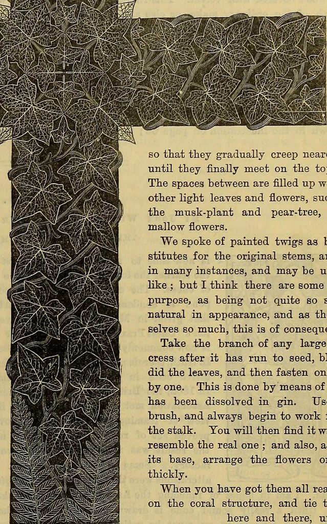 An illustration from The Popular recreator. A key to in-door and out-door amusements .., 1873, leaf 430