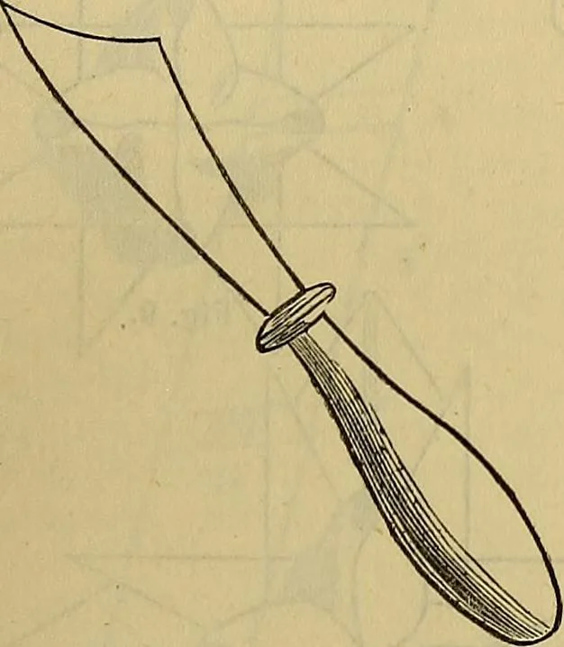 An illustration from The Popular recreator. A key to in-door and out-door amusements .., 1873, leaf 436