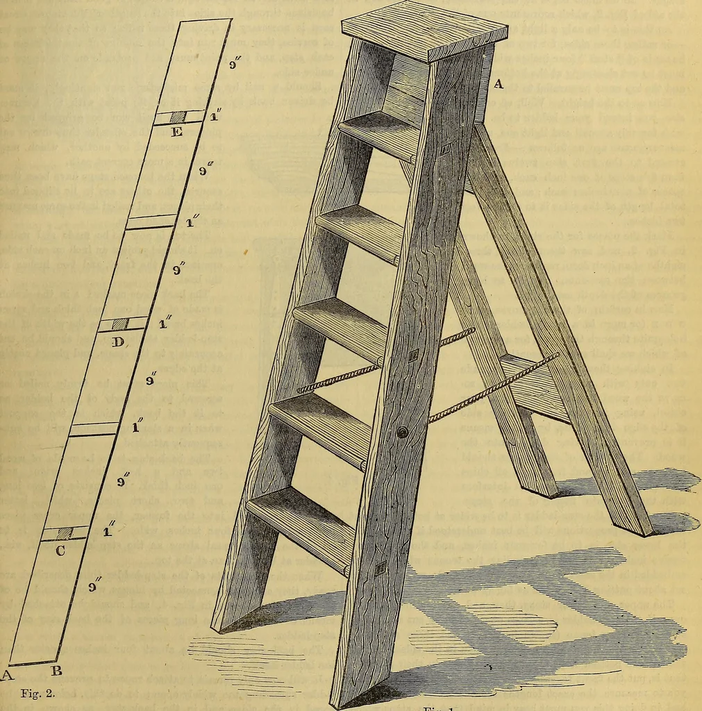 An illustration from The Popular recreator. A key to in-door and out-door amusements .., 1873, leaf 438