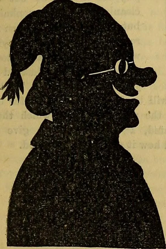 An illustration from The Popular recreator. A key to in-door and out-door amusements .., 1873, leaf 446