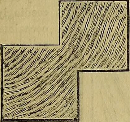 An illustration from The Popular recreator. A key to in-door and out-door amusements .., 1873, leaf 452