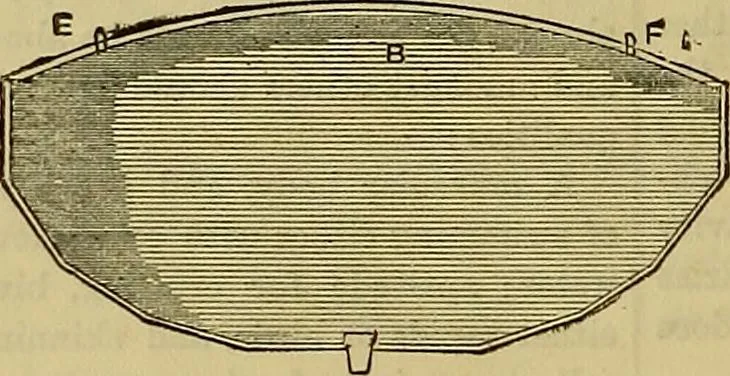 An illustration from The Popular recreator. A key to in-door and out-door amusements .., 1873, leaf 477