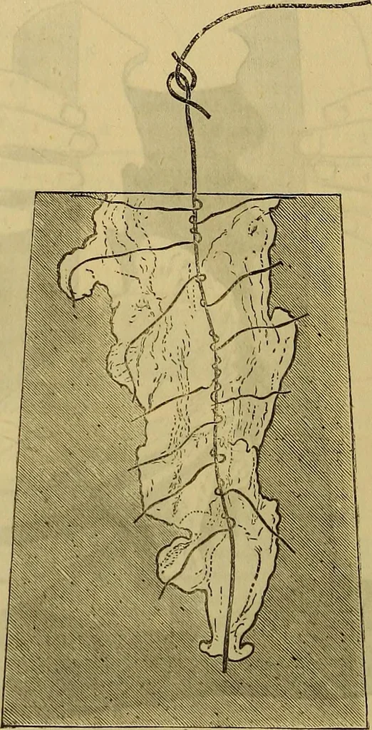 An illustration from The Popular recreator. A key to in-door and out-door amusements .., 1873, leaf 479