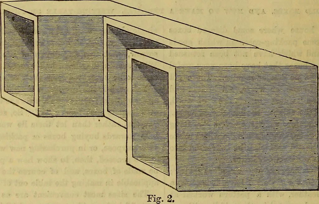 An illustration from The Popular recreator. A key to in-door and out-door amusements .., 1873, leaf 481