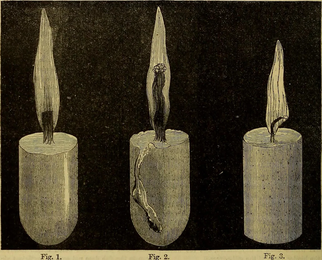 An illustration from The Popular recreator. A key to in-door and out-door amusements .., 1873, leaf 485