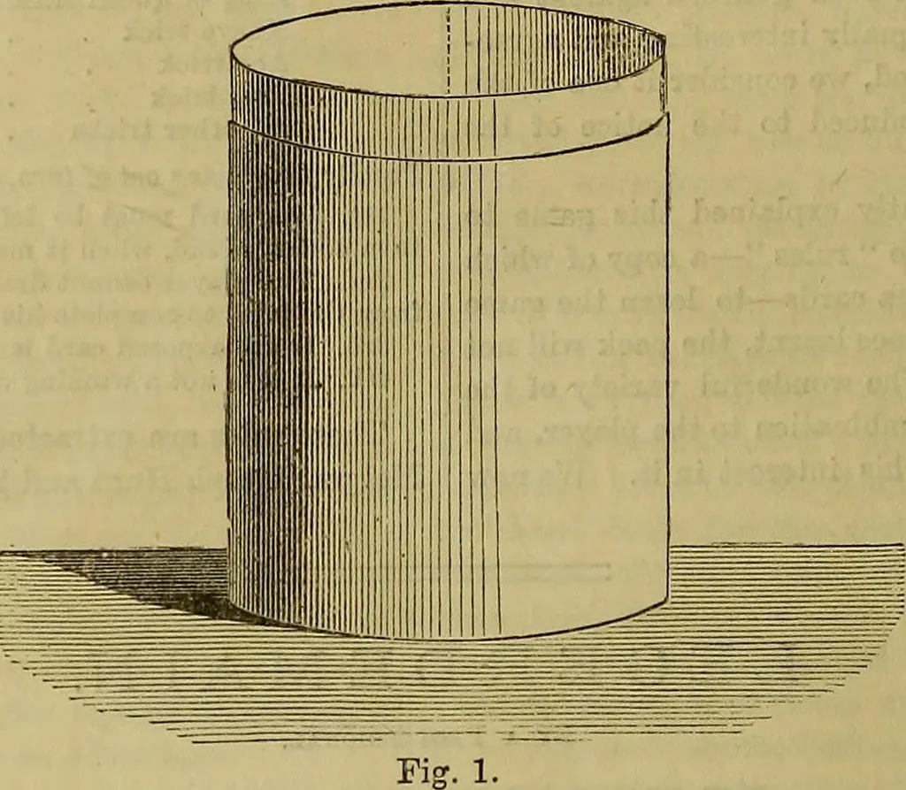 An illustration from The Popular recreator. A key to in-door and out-door amusements .., 1873, leaf 525