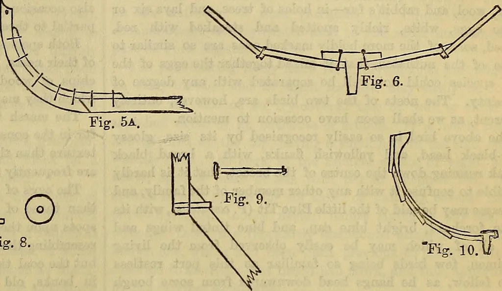 An illustration from The Popular recreator. A key to in-door and out-door amusements .., 1873, leaf 538