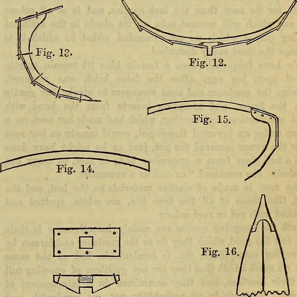 An illustration from The Popular recreator. A key to in-door and out-door amusements .., 1873, leaf 538