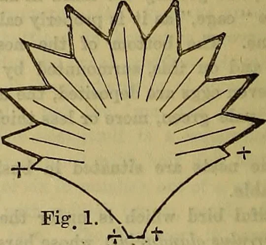 An illustration from The Popular recreator. A key to in-door and out-door amusements .., 1873, leaf 541