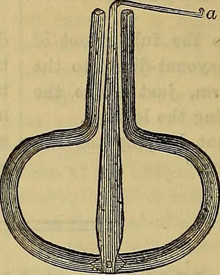 An illustration from The Popular recreator. A key to in-door and out-door amusements .., 1873, leaf 553